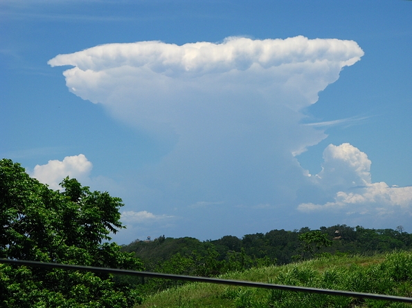 Mushroom Cloud